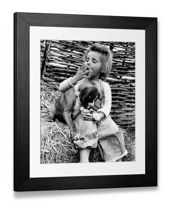 Framed Print : Animals Humour Dogs Boxer George September 1959 Hilary Dellar with the puppy 8 week