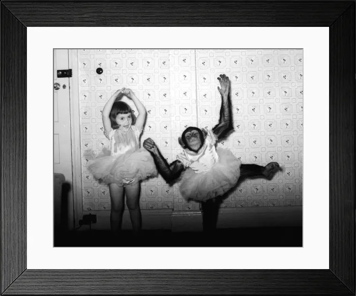 Framed Print : Chimpanzee dancing with girl 1957 Animals Unusual Conda the chimp from Billy