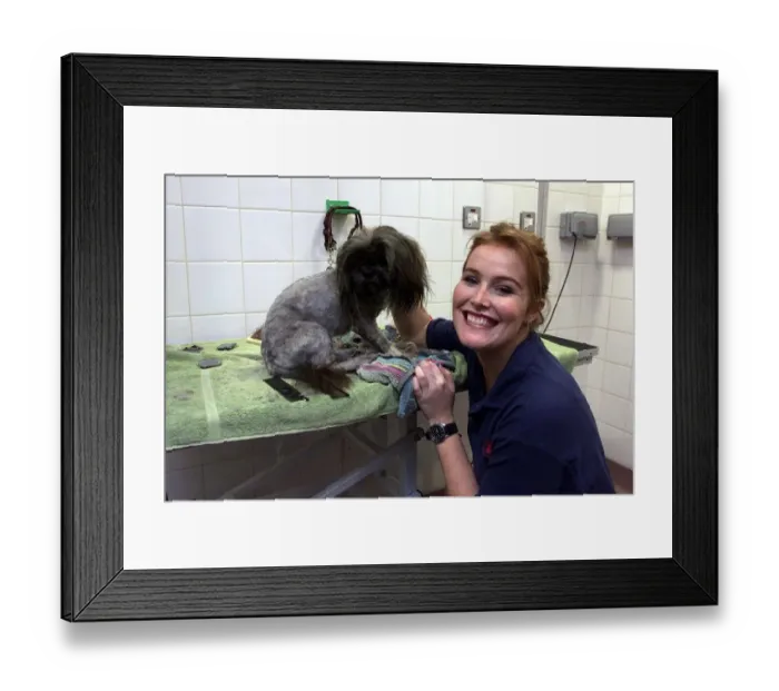 Framed Print : Shauna Lowry TV Presenter October 1999 giving Stimpy the dog a bath at Battersea