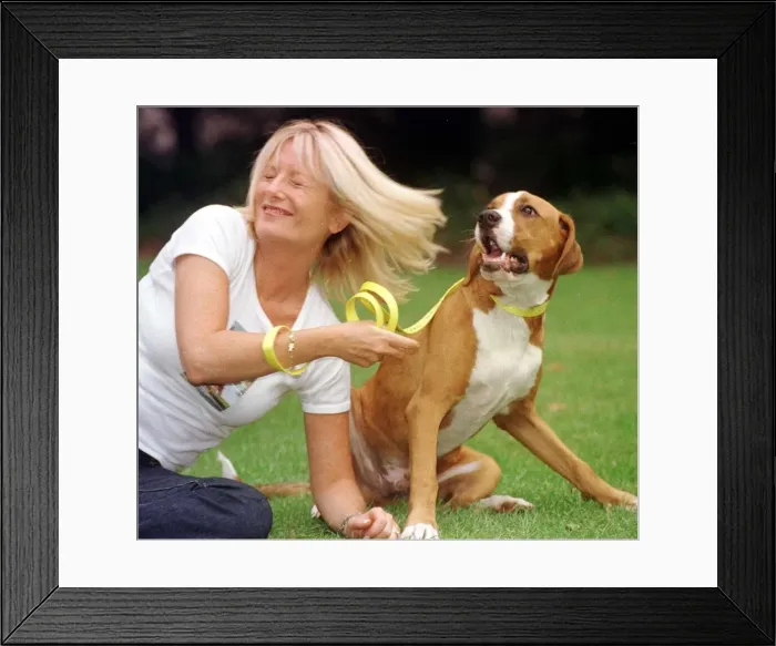 Framed Print : Gabby Roslin TV Presenter with a stray dog, August 1999 Timmy a boxer cross Framed Print : Gabby Roslin TV Presenter with a stray dog, August 1999 Timmy a boxer cross