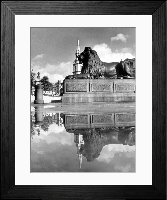 Framed Print : London England October 1945 Trafalgar Square London Views Post-War The Lions Framed Print : London England October 1945 Trafalgar Square London Views Post-War The Lions