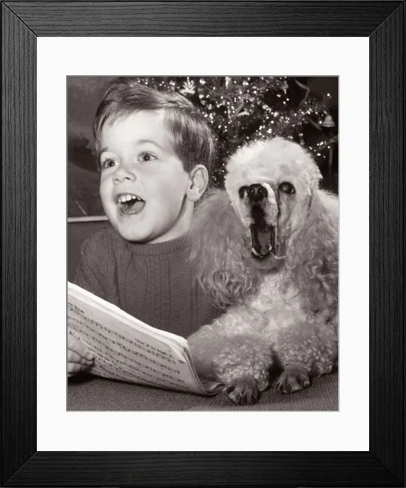 Framed Print : Mark Sidey with his Poodle Dog - December 1966 Singing Christmas Carols