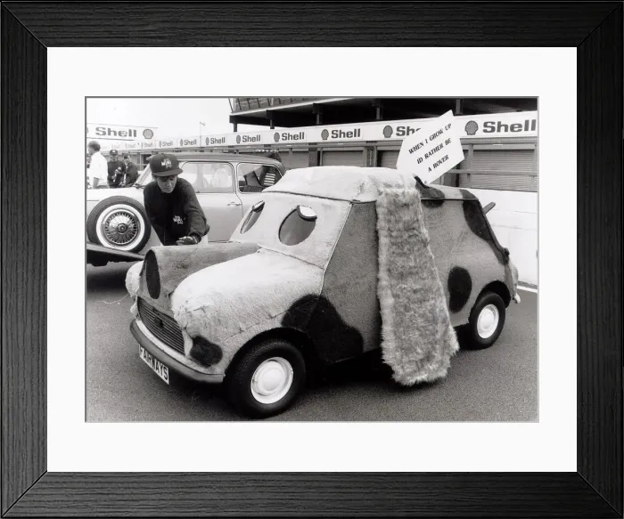Framed Print : Mini Car Anniversary. 25, 000 Minis turned up at Silverstone to celebrates 30 years Framed Print : Mini Car Anniversary. 25, 000 Minis turned up at Silverstone to celebrates 30 years