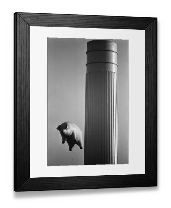 Framed Print : Pink Floyd Inflatable Flying Pig at Battersea Power Station in London during filming of