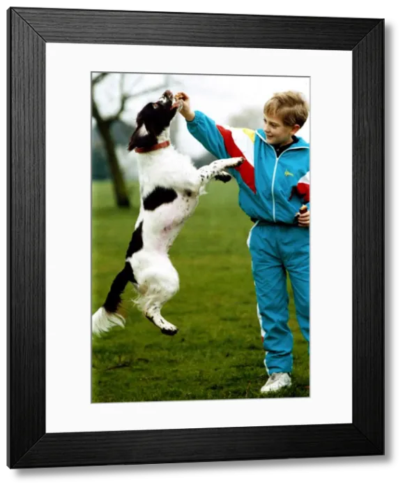 Framed Print : James Dolan with his dog Sophie who has a pacemaker Animals Dogs Dogs Framed Print : James Dolan with his dog Sophie who has a pacemaker Animals Dogs Dogs