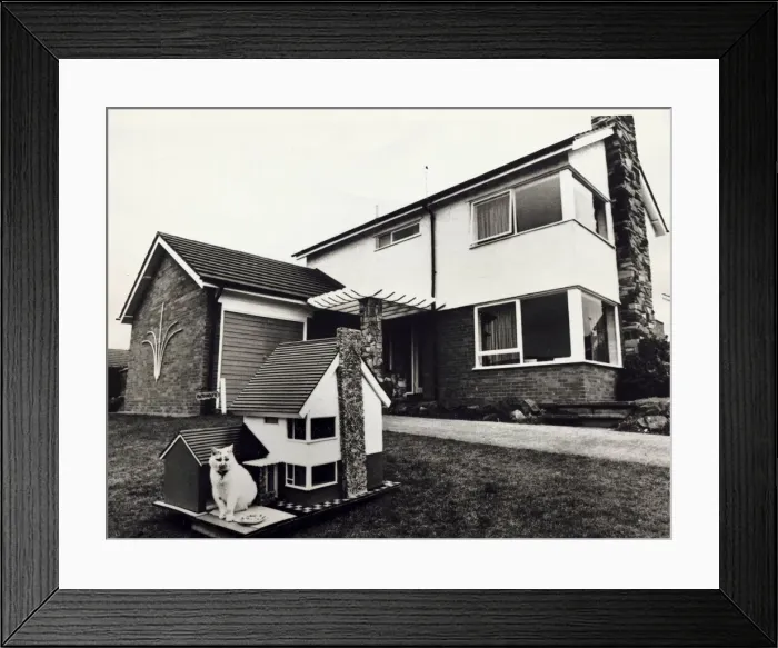 Framed Print : This cat has its own miniature copy of its owners house 1960s Framed Print : This cat has its own miniature copy of its owners house 1960s