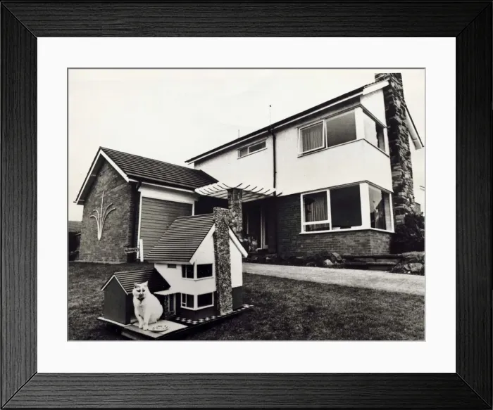 Framed Print : This cat has its own miniature copy of its owners house Animal fun pet Framed Print : This cat has its own miniature copy of its owners house Animal fun pet