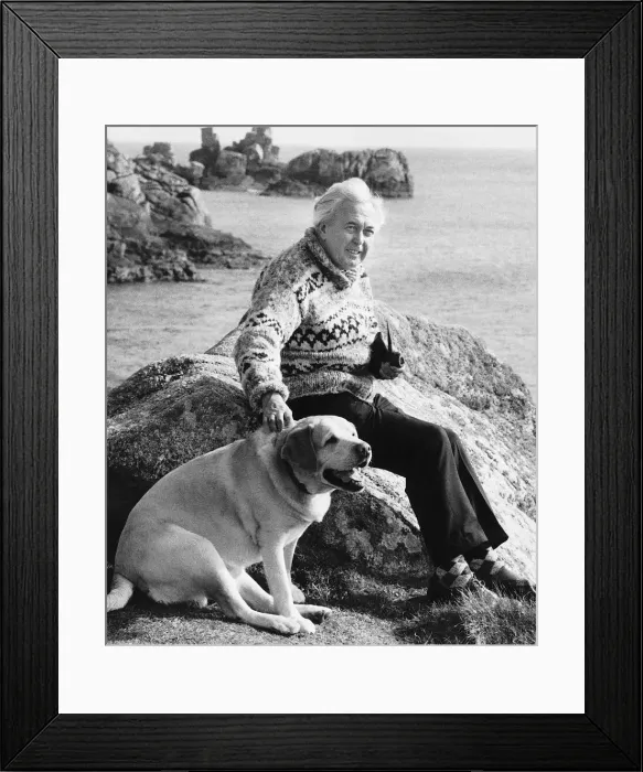 Framed Print : Harold Wilson Prime Minister on holiday in the Scilly Islands with his labrador Paddy