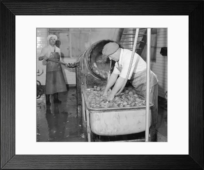 Framed Print : Carrot Powder making at Bristol. Circa 1930