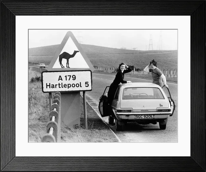 Framed Print : Road Sign of camels crossing here in Hartlepool. Were they are making signs for Framed Print : Road Sign of camels crossing here in Hartlepool. Were they are making signs for