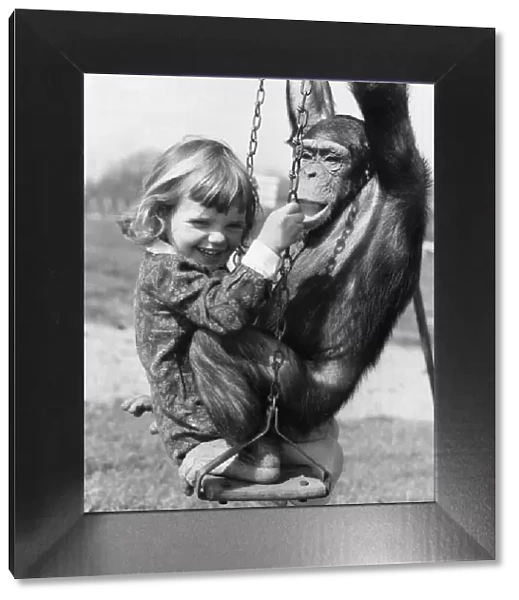 Bosom friends Rosie the chimp and Tracey Clews seen here playing on the swings at Southam