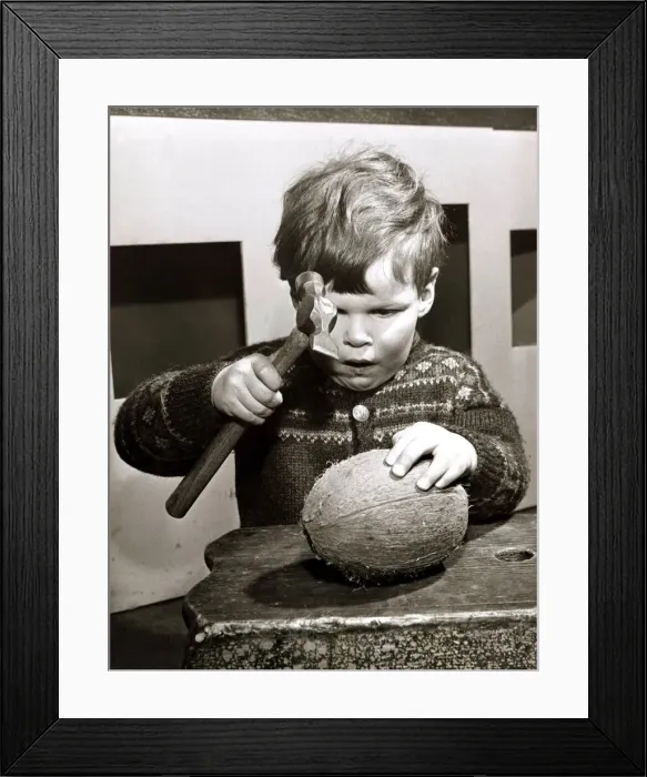 Framed Print : A young boy attempting to crack open a coconut with a hammer, March 1965 Framed Print : A young boy attempting to crack open a coconut with a hammer, March 1965