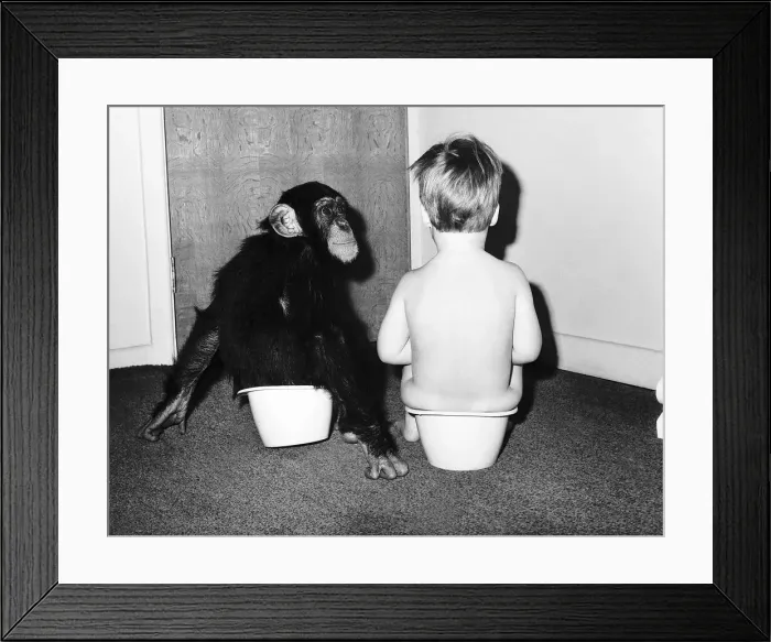 Framed Print : A boy and a monkey doing their business togehter. 1970 Framed Print : A boy and a monkey doing their business togehter. 1970