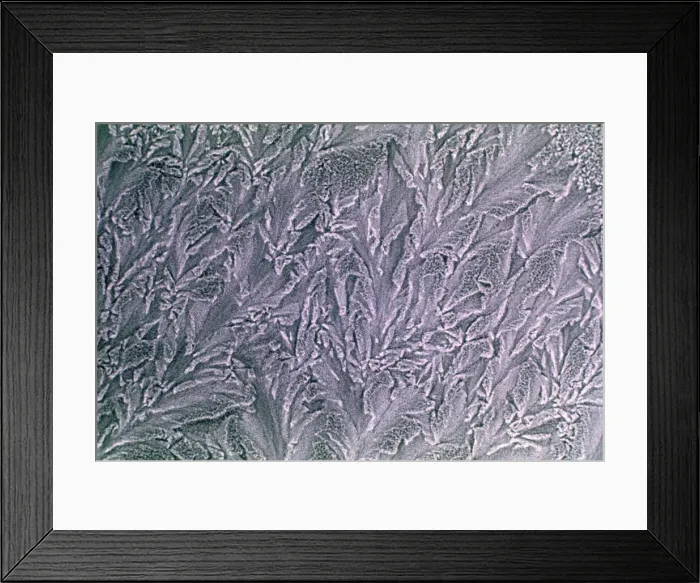 Framed Print : Frost Effects May 1976 Framed Print : Frost Effects May 1976