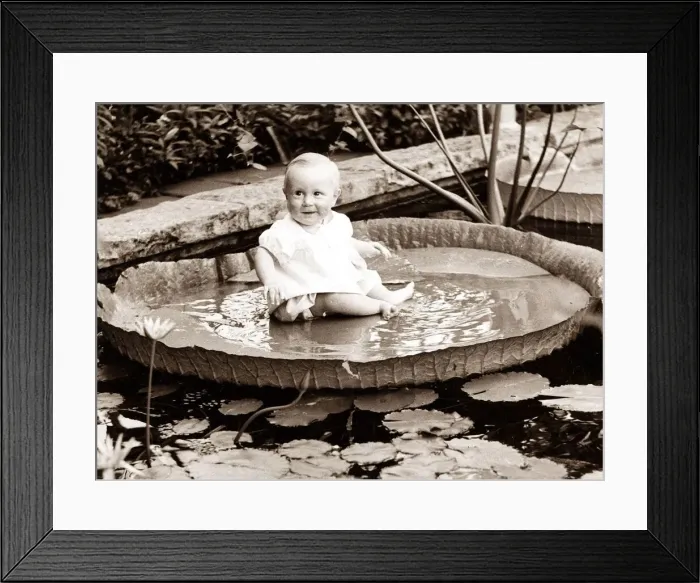 Framed Print : Baby sitting on an island in a pond. Circa 1960 Framed Print : Baby sitting on an island in a pond. Circa 1960