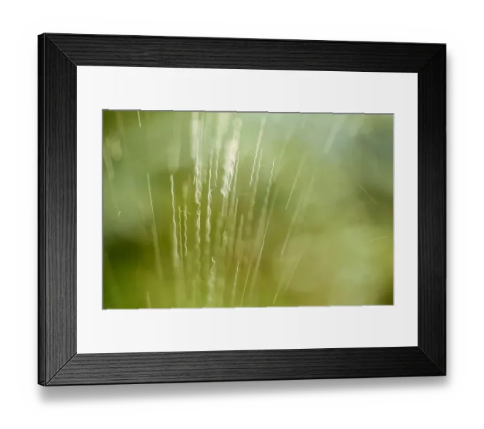 Framed Print : Grass Effect May 1976 Framed Print : Grass Effect May 1976