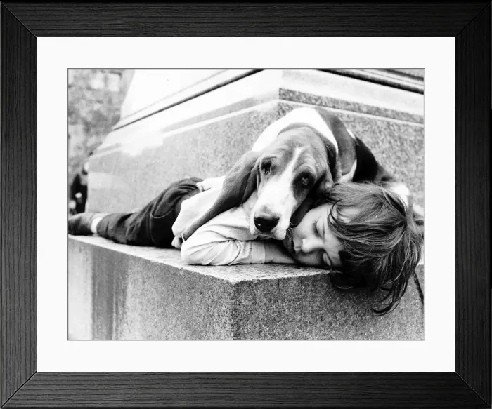 Framed Print : Stephen Durham sleeping with pet Basset hound Sadie. 1972 Framed Print : Stephen Durham sleeping with pet Basset hound Sadie. 1972
