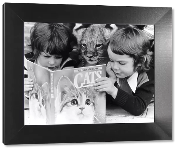 Two children reading a book on cats while a young tiger watches over their shoulders