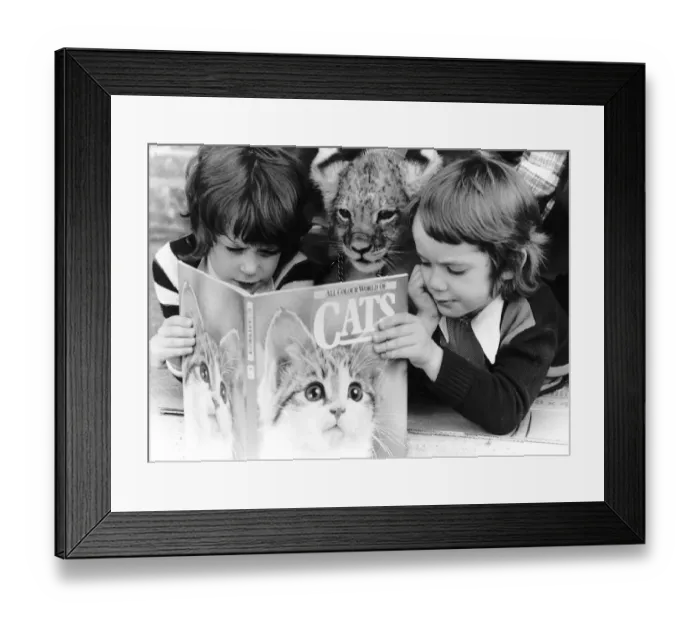 Framed Print : Two children reading a book on cats while a young tiger watches over their shoulders Framed Print : Two children reading a book on cats while a young tiger watches over their shoulders