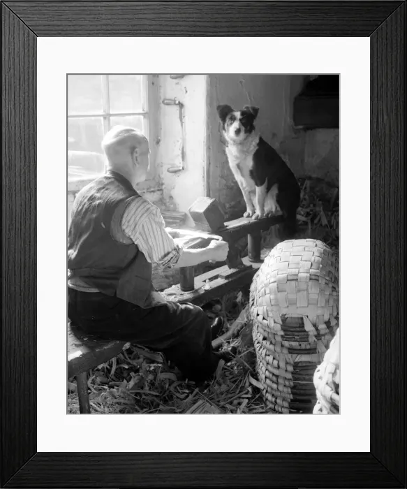 Framed Print : Swill ( Strong Basket ) making in the Lake District Collie dog sits on his masters Framed Print : Swill ( Strong Basket ) making in the Lake District Collie dog sits on his masters