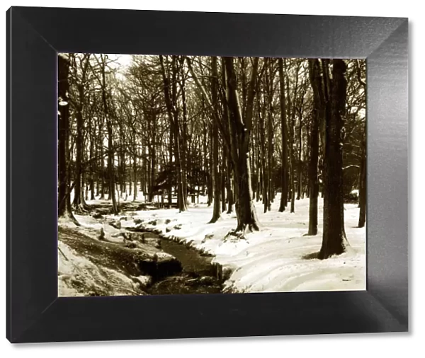 Grovelands Park Southgate - Weather Winter Scenes Snow Trees