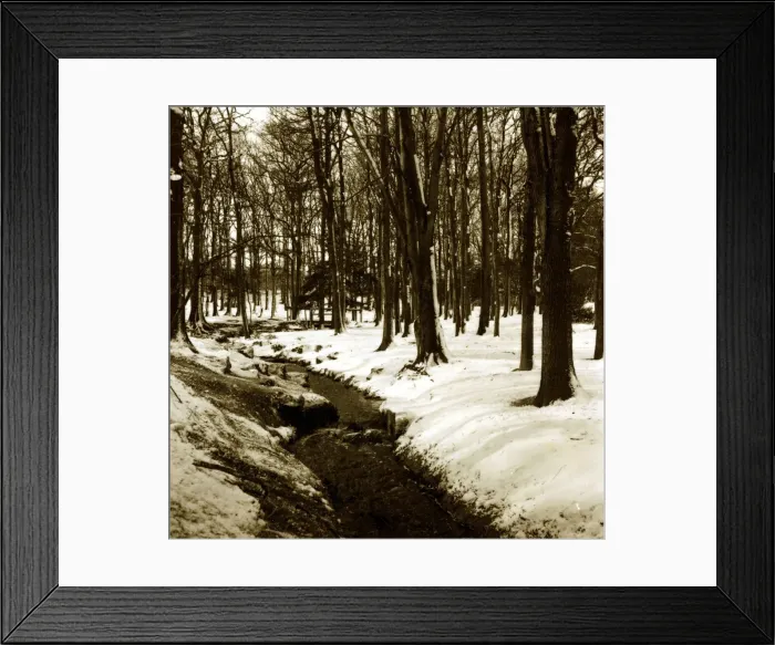 Framed Print : Grovelands Park Southgate - Weather Winter Scenes Snow Trees