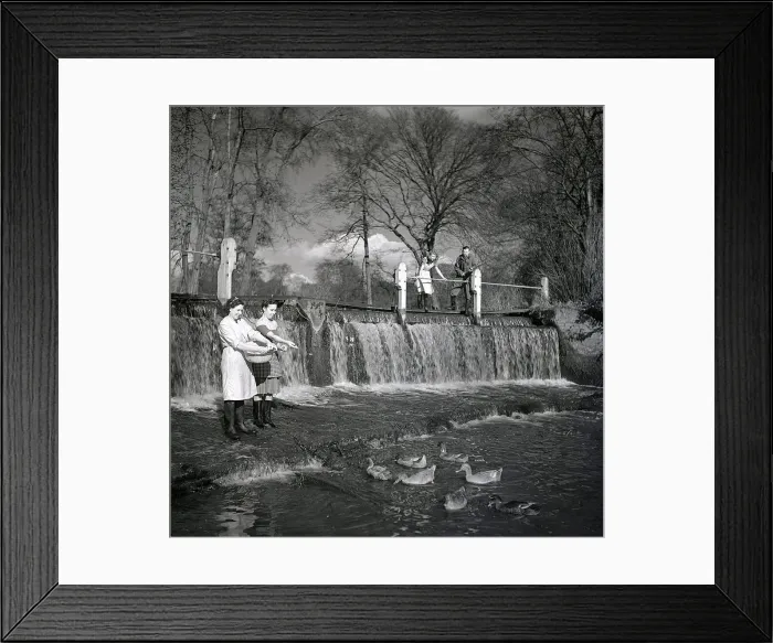 Framed Print : The girls come out to give the ducks a feed from a bowl of kitchen scraps