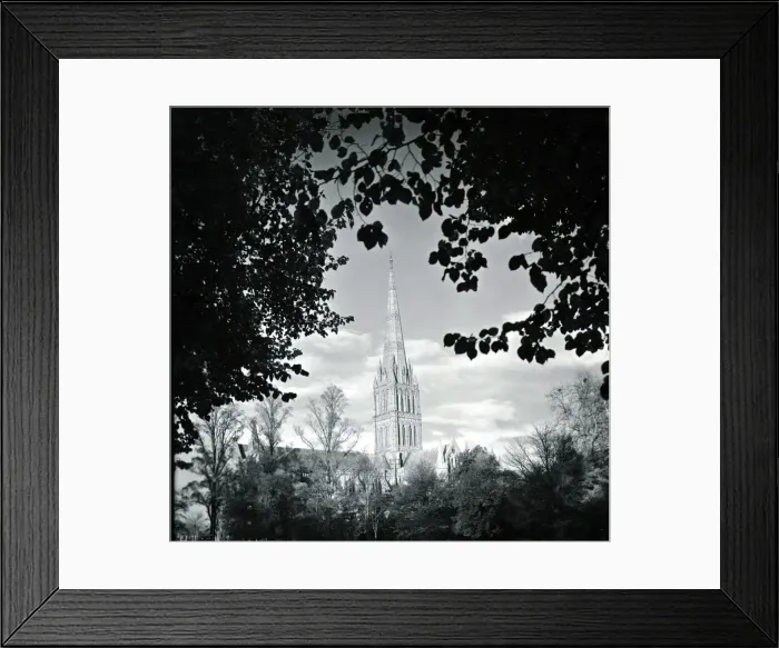 Framed Print : Salisbury Cathedral in Salisbury Wiltshire framed by the foliage of trees