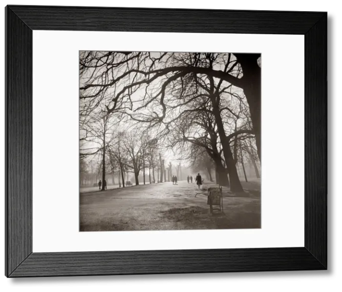 Framed Print : Walkway through Hyde Park People strolling walking underneath the tree lined path Framed Print : Walkway through Hyde Park People strolling walking underneath the tree lined path