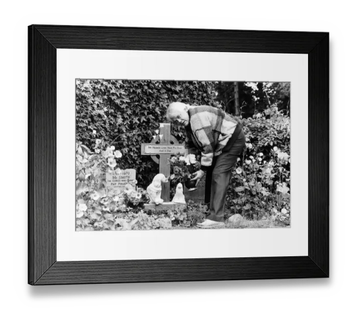 Framed Print : Tony Booth actor and writer father of Cherie Blair tending a shrine to wife