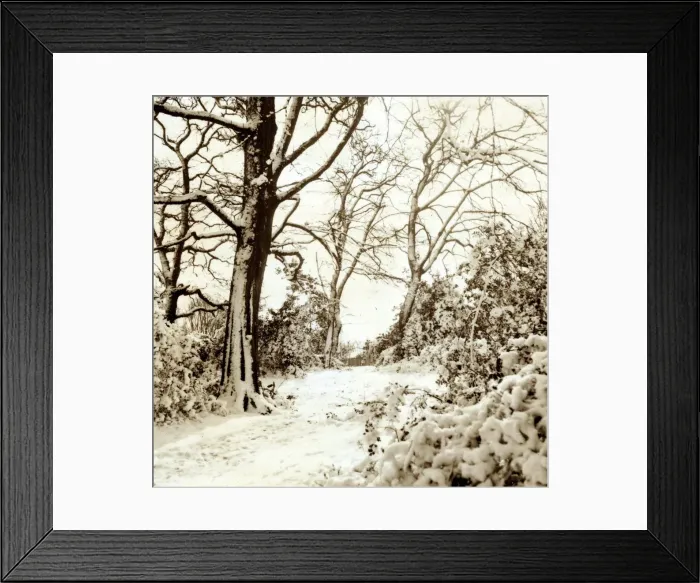 Framed Print : Hadley Common Hertfordshire - Weather Winter Scenes Snow Trees