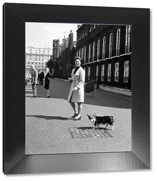 Ava Gardner August 1969 With her Corgi dog in London