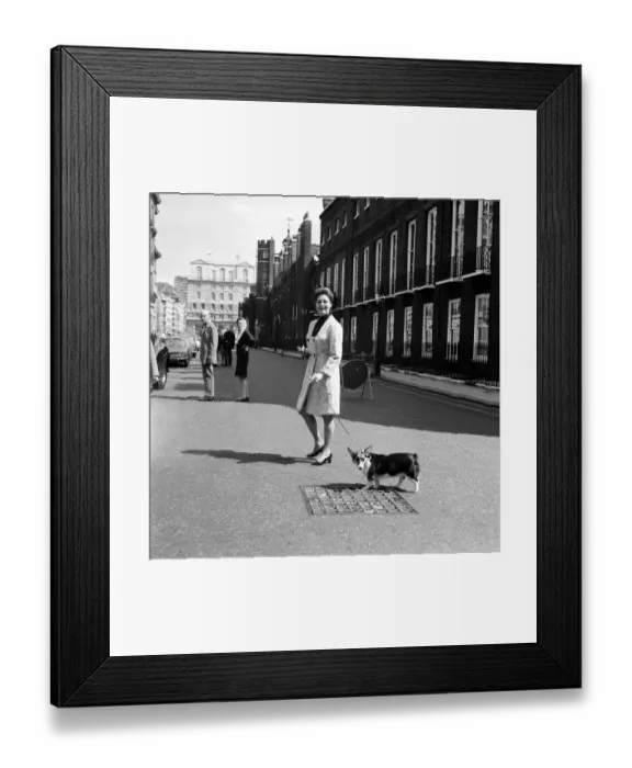 Framed Print : Ava Gardner August 1969 With her Corgi dog in London Framed Print : Ava Gardner August 1969 With her Corgi dog in London