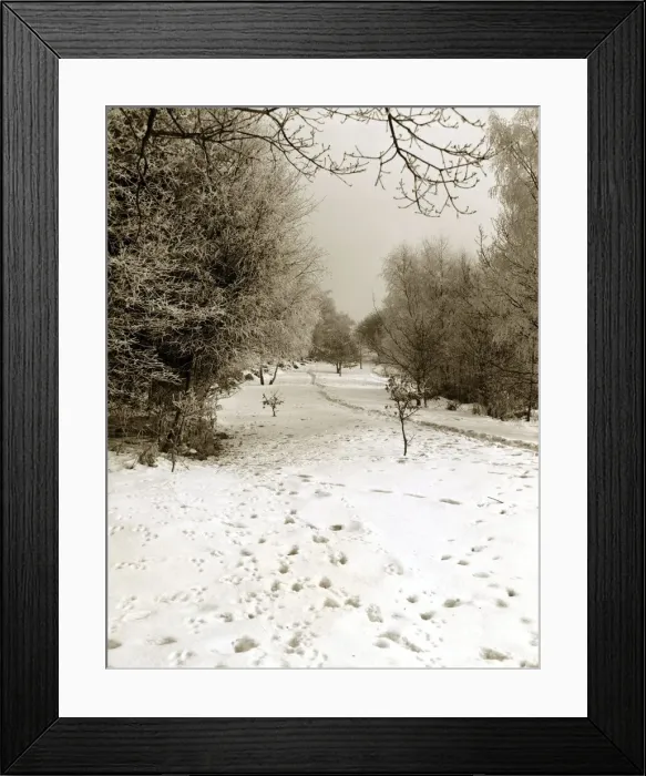 Framed Print : Tunbridge Wells Common Weather - Winter Snow Trees