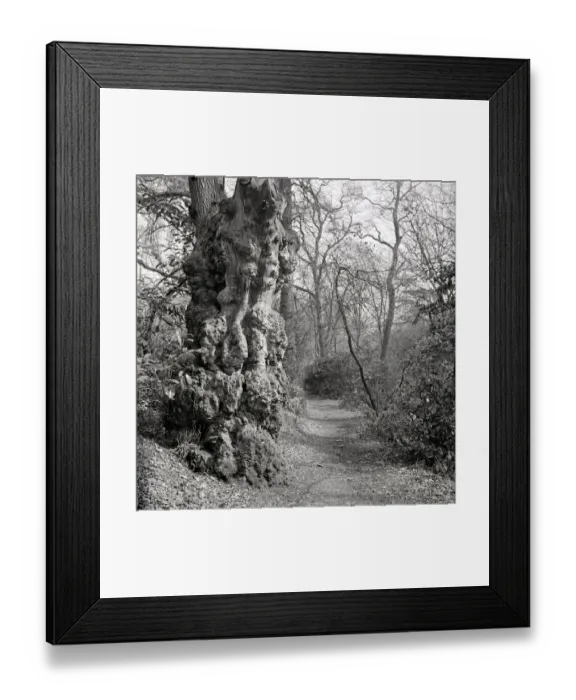 Framed Print : Oakhill Park East Barnet, London Framed Print : Oakhill Park East Barnet, London