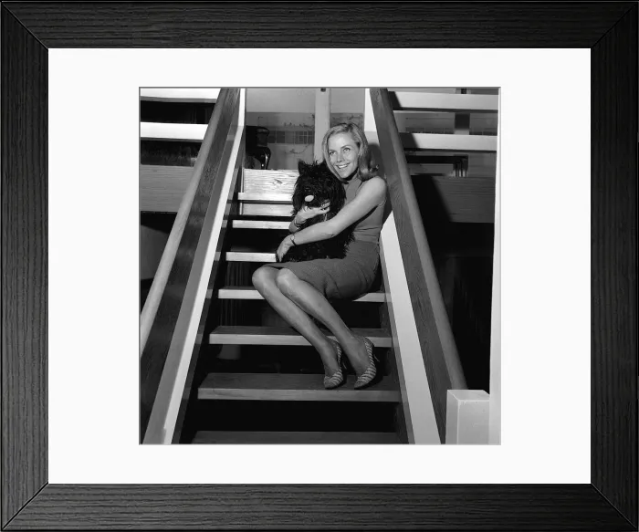 Framed Print : Honor Blackman actress May 1965 with her dog Wotan a Scottish terrier Framed Print : Honor Blackman actress May 1965 with her dog Wotan a Scottish terrier
