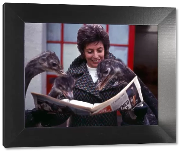 Mrs Louise Stephenson with her pet ostriches reading the newspaper at her home in