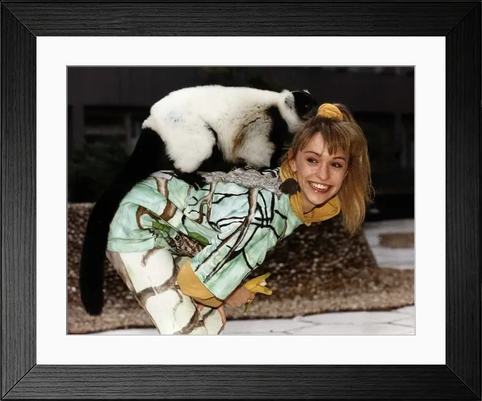 Framed Print : Michaela Strachan Childrens TV Presenter With A Ruffed Lemur Framed Print : Michaela Strachan Childrens TV Presenter With A Ruffed Lemur