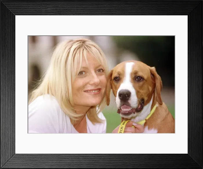 Framed Print : Gabby Roslin TV Presenter with a stray dog, August 1999 Timmy a boxer cross Framed Print : Gabby Roslin TV Presenter with a stray dog, August 1999 Timmy a boxer cross