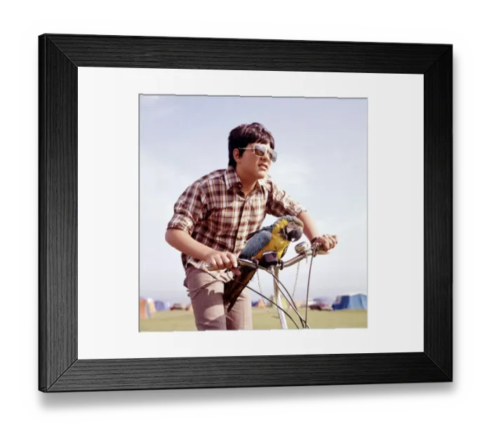 Framed Print : Fourteen year old Richard reynolds of London carries his 7 year old macaw parrot Bertieon Framed Print : Fourteen year old Richard reynolds of London carries his 7 year old macaw parrot Bertieon