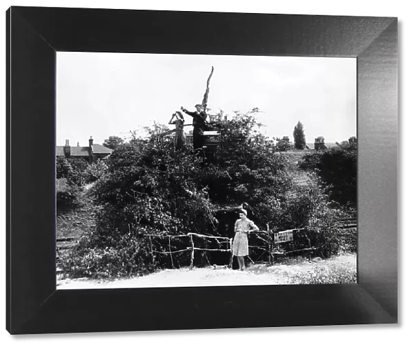 Buzz bomb spotters in their tree top lookout 1944 Peter Mulligan Joyce Brain