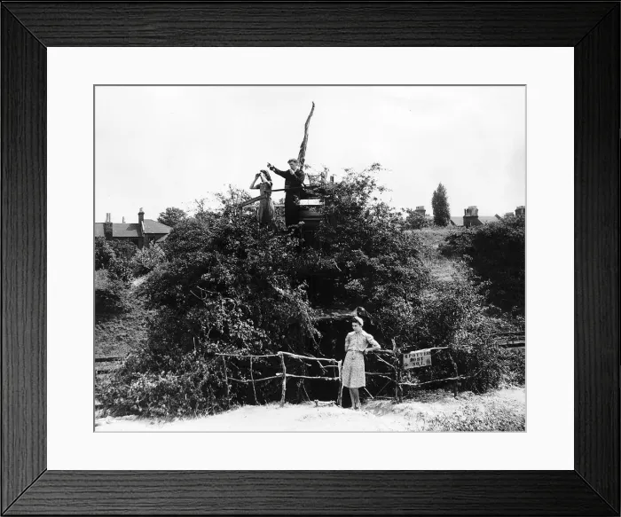Framed Print : Buzz bomb spotters in their tree top lookout 1944 Peter Mulligan Joyce Brain Framed Print : Buzz bomb spotters in their tree top lookout 1944 Peter Mulligan Joyce Brain