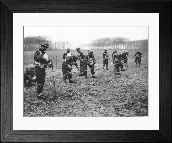 Framed Print : The Royal Scots lay barbed defences during WW2 1940 Framed Print : The Royal Scots lay barbed defences during WW2 1940