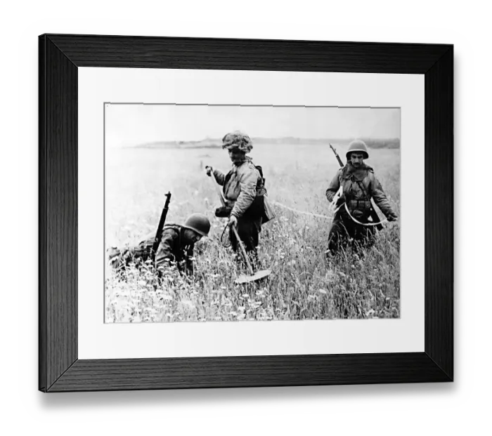 Framed Print : American soldiers searching a field in Northern France for landmines Framed Print : American soldiers searching a field in Northern France for landmines