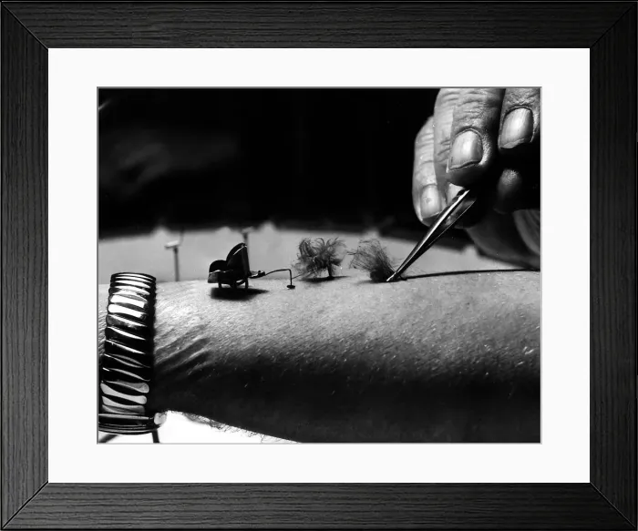 Framed Print : Fleas are trained by Leonard Tomlin pulling weights 1961