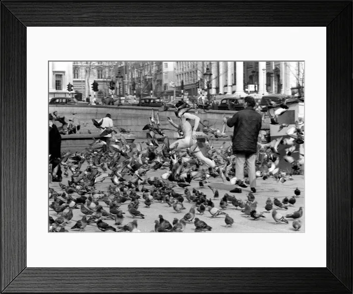 Framed Print : The Streaker March 1974 Among the pigeon at Trafalgar Square Framed Print : The Streaker March 1974 Among the pigeon at Trafalgar Square