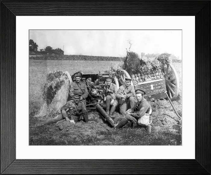 Framed Print : British Soldiers with gun covered with wheat to hide it from German aircraft during Framed Print : British Soldiers with gun covered with wheat to hide it from German aircraft during