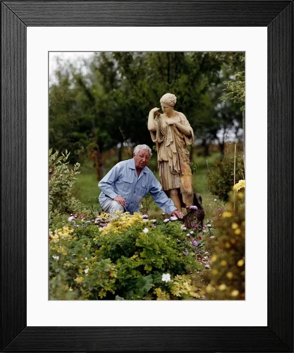 Framed Print : Johnny Morris TV Presenter