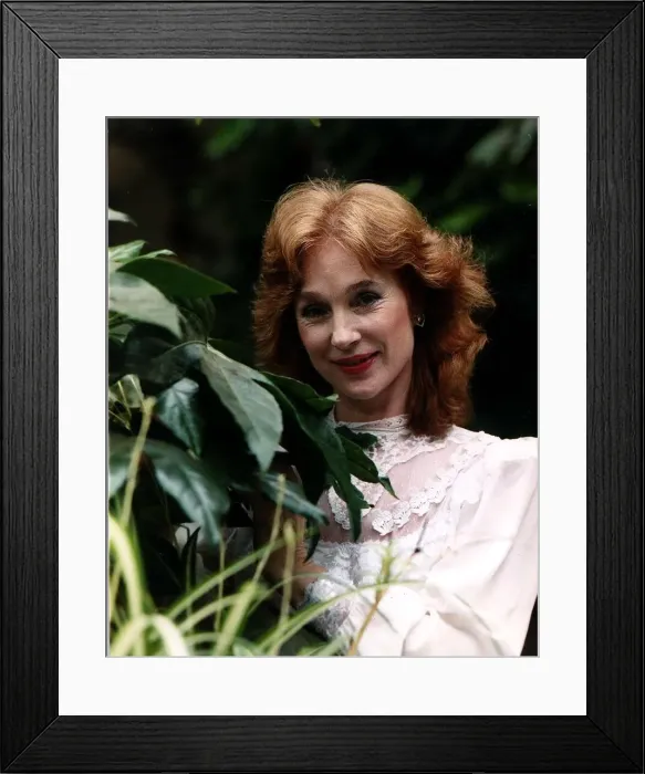 Framed Print : Shirley Anne Field actress November 1988 Framed Print : Shirley Anne Field actress November 1988