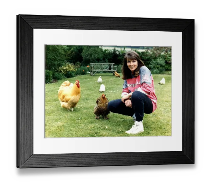 Framed Print : Miriam francome wife of John Francombe TV Presenter at home in the back garden Framed Print : Miriam francome wife of John Francombe TV Presenter at home in the back garden